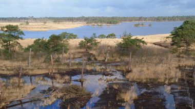 Grenspark-Kalmthoutse-Heide-Brabant