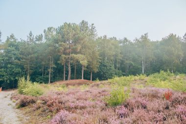 Abdijbossen Brabantse Wal Scooter Huren Brabant